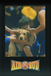 Poster to the movie "Air Bud" #960171