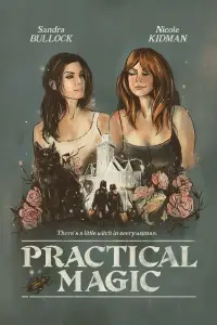 Poster to the movie "Practical Magic" #697235