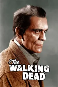 Poster to the movie "The Walking Dead" #1012869