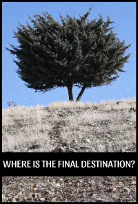 Poster to the movie "Where is the Final Destination?" #718657