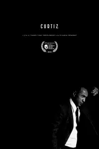 Poster to the movie "Curtiz" #708921