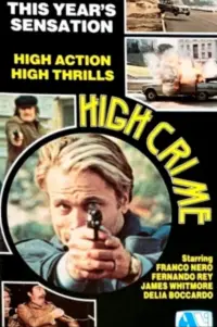 Poster to the movie "High Crime" #1110544