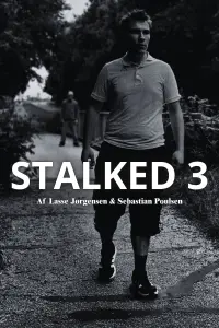Poster to the movie "STALKED 3" #829057