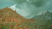 Backdrop to the movie "The Eve of Ivan Kupalo" #733531