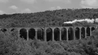Backdrop to the movie "The Train" #809458