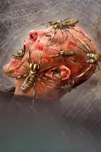 Poster to the movie "Camel Spiders" #1075454