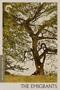 Poster to the movie "The Emigrants" #1001030
