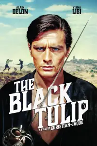 Poster to the movie "The Black Tulip" #1086993