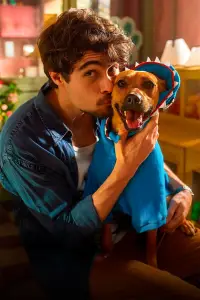 Poster to the movie "Caramelo" #1003731