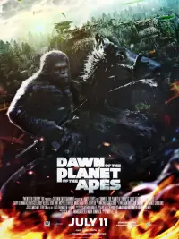 Poster to the movie "Dawn of the Planet of the Apes" #597004