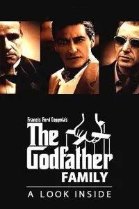 Poster to the movie "The Godfather Family: A Look Inside" #1151881