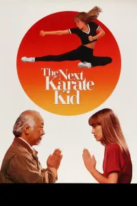 Poster to the movie "The Next Karate Kid" #767048