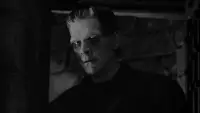 Backdrop to the movie "Frankenstein" #641074