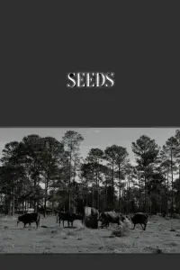 Poster to the movie "Seeds" #735088