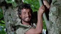Backdrop to the movie "Long Live Robin Hood" #864288