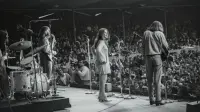 Backdrop to the movie "Monterey Pop" #729935