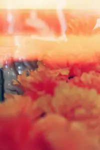 Poster to the movie "Ofrenda" #1007547