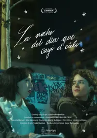 Poster to the movie "La noche del día que cayó el cielo" #631921