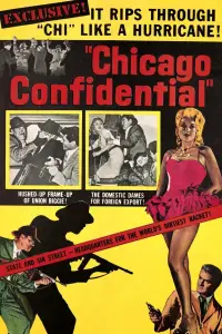 Poster to the movie "Chicago Confidential" #1179530