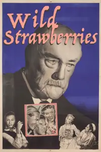 Poster to the movie "Wild Strawberries" #979361