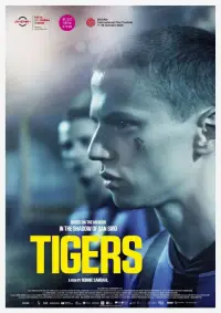 Poster to the movie "Tigers" #729677