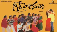Backdrop to the movie "Ninne Pelladatha" #864072