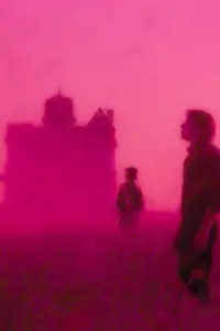 Poster to the movie "Days of Heaven" #716447