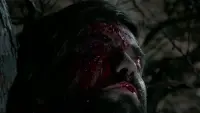 Backdrop to the movie "The Werewolf Versus the Vampire Woman" #717221