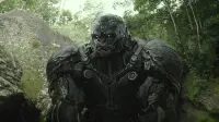 Backdrop to the movie "Transformers: Rise of the Beasts" #699616