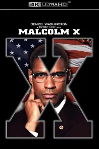 Poster to the movie "Malcolm X" #957140