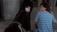 Backdrop to the movie "Elvira, Mistress of the Dark" #889681