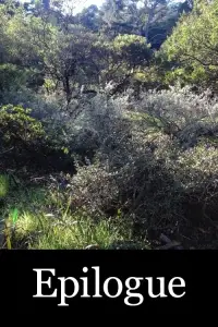 Poster to the movie "Epilogue" #1097118