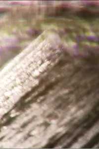 Poster to the movie "in thin air" #1074710