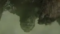 Backdrop to the movie "Kong: Skull Island" #741678