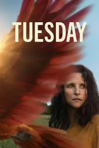 Poster to the movie "Tuesday" #1158453