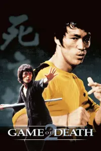 Poster to the movie "Game of Death II" #347437