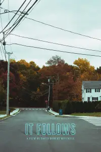Poster to the movie "It Follows" #926076