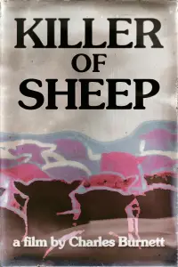 Poster to the movie "Killer of Sheep" #539660