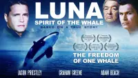 Backdrop to the movie "Luna: Spirit of the Whale" #1012582