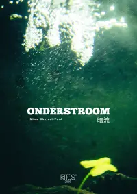 Poster to the movie "Undercurrent - 暗流" #779195