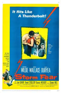 Poster to the movie "Storm Fear" #965701