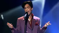 Backdrop to the movie "Prince: Purple Reign" #825236