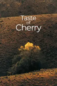 Poster to the movie "Taste of Cherry" #937868