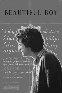 Poster to the movie "Beautiful Boy" #1028125