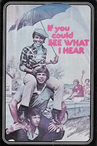 Poster to the movie "If You Could See What I Hear" #1116776