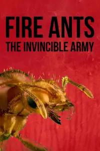 Poster to the movie "Fire Ants 3D: The Invincible Army" #1014653