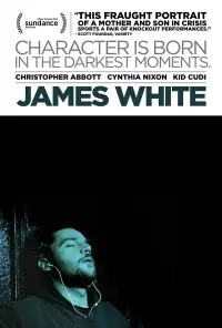 Poster to the movie "James White" #688008