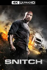 Poster to the movie "Snitch" #954599