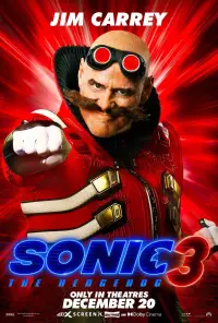 Poster to the movie "Sonic the Hedgehog 3" #905300