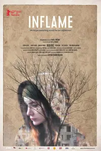 Poster to the movie "Inflame" #1258624